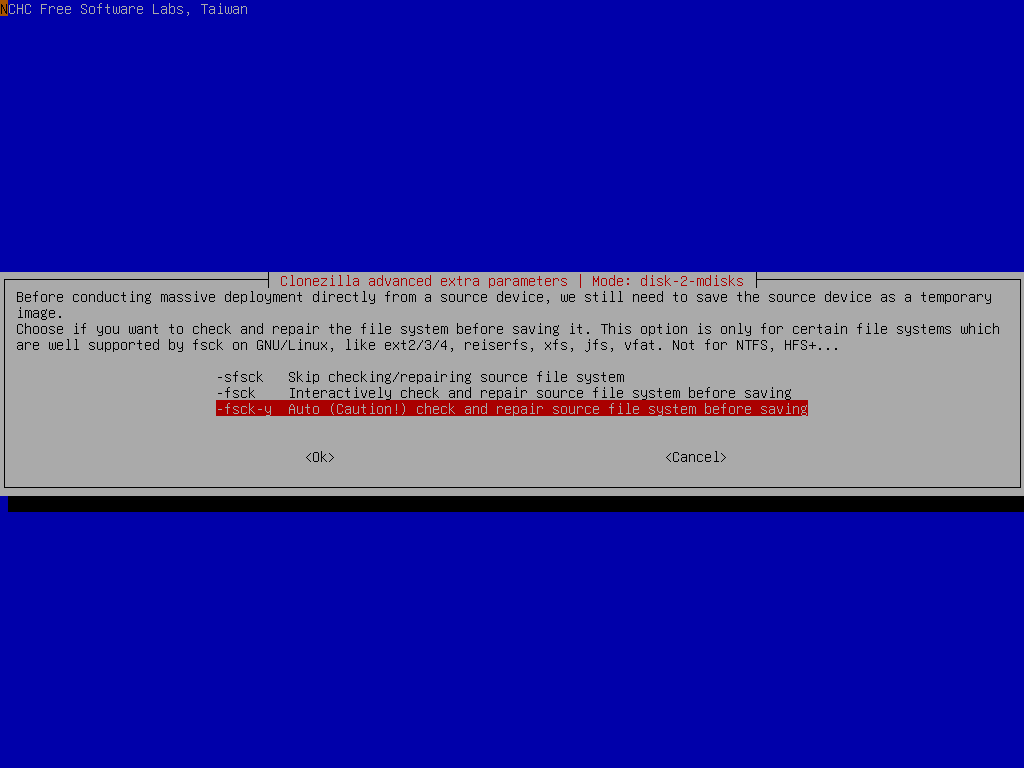 Choose fsck-y option